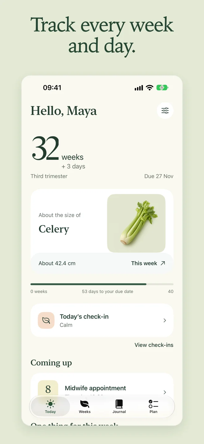 Pregnancy Week Counter — Current pregnancy week and day