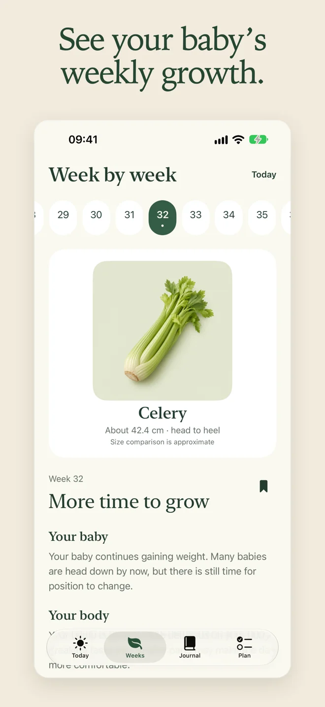 Pregnancy Week Counter — Weekly development guide