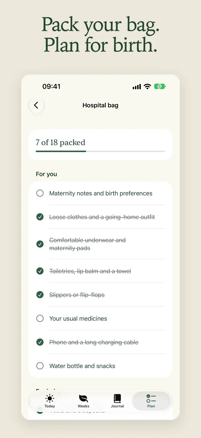 Pregnancy Week Counter — Hospital bag checklist