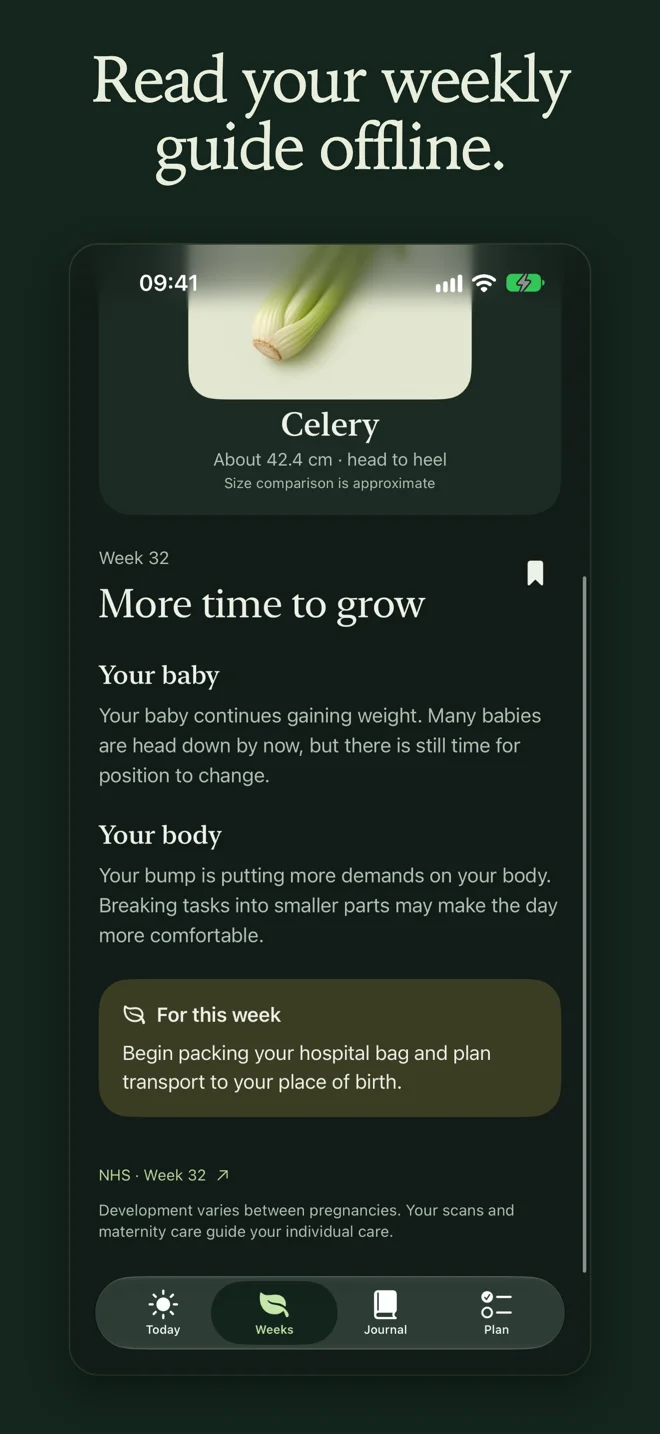 Pregnancy Week Counter — Weekly guide in dark mode